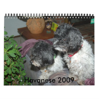 Calendário Havanese 2009