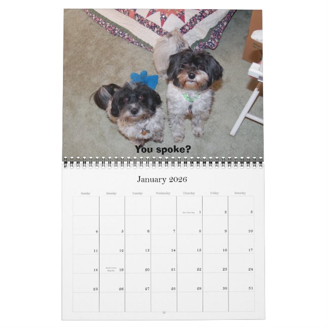 Calendário Havanese 2009 (Jan 2026)
