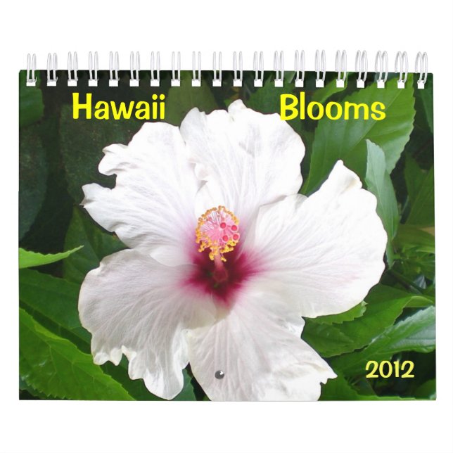 Calendário Hawaii Blooms com flores (Capa)
