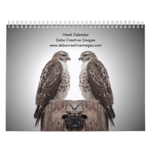 Calendário Hawks na natureza em 2024