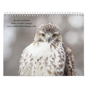 Calendário Hawks na natureza em 2024