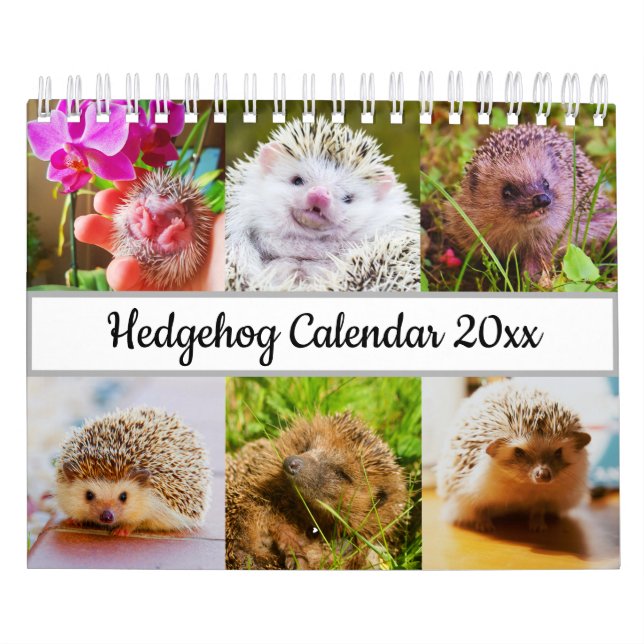 Calendário Hedgehog (Capa)