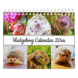 Calendário Hedgehog