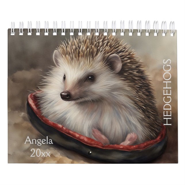 Calendário Hedgehogs (Capa)