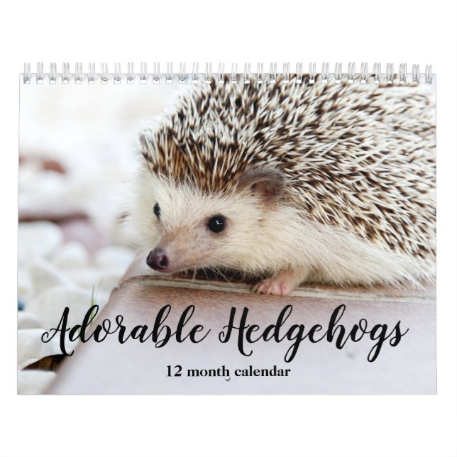 Calendário Hedgehogs Adoráveis 2026 (Capa)
