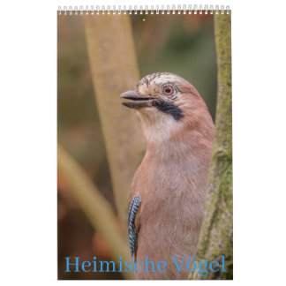 Calendário Heimische Vögel Kalender