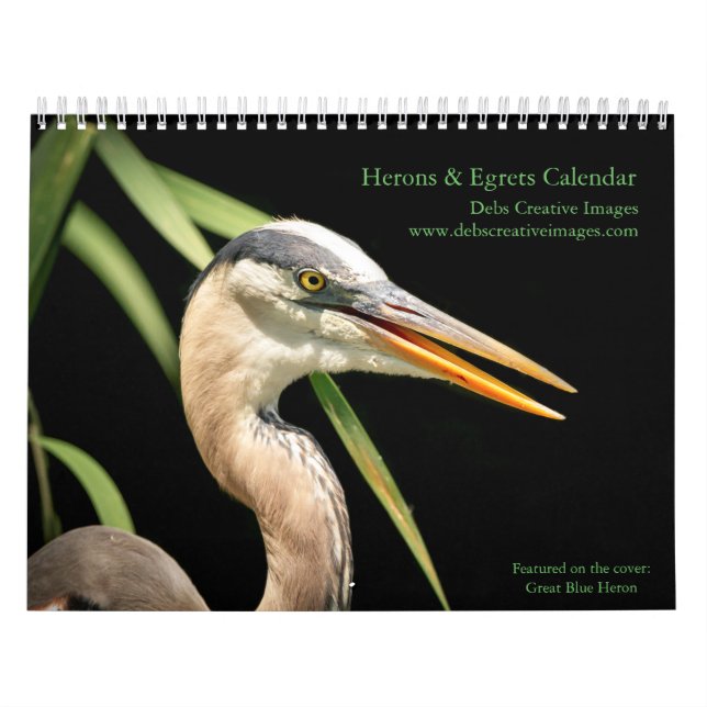 Calendário Herões e Egrets 2026 (Capa)