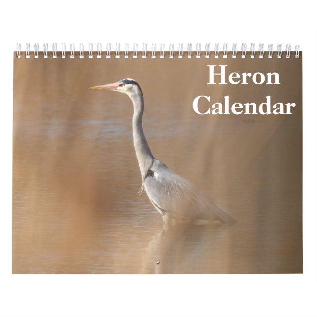 Calendário Heron Bird 2025 (Capa)
