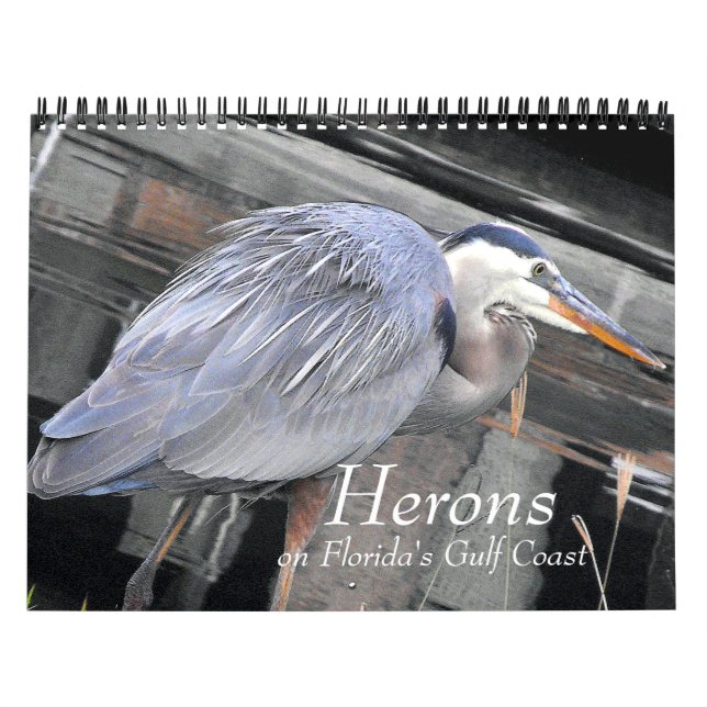 Calendário Hérons Grande e Pequeno (Capa)