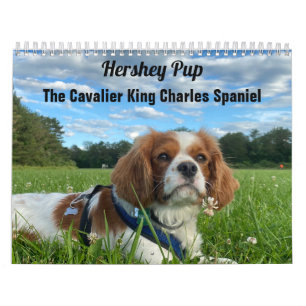 Calendário Hershey Pup Cavalier King Charles Spaniel Calendar