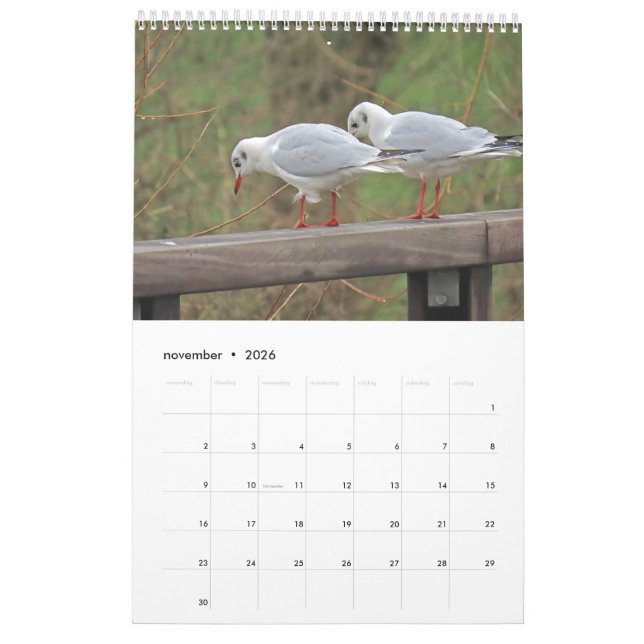 Calendário Hollandse vogels Kalender aan te passen (Nov 2026)