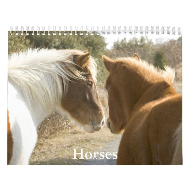 Calendário Horse Calendar (Capa)