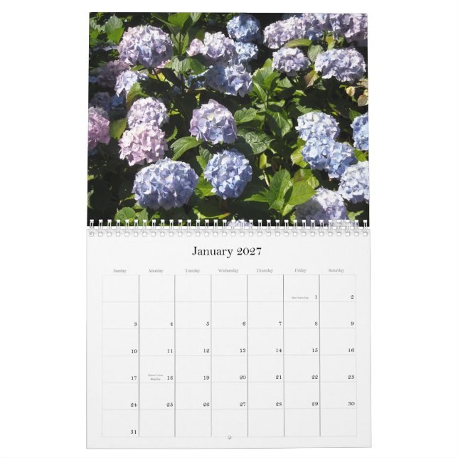 Calendário Hortênsias Celestiais 2013 (Jan 2027)