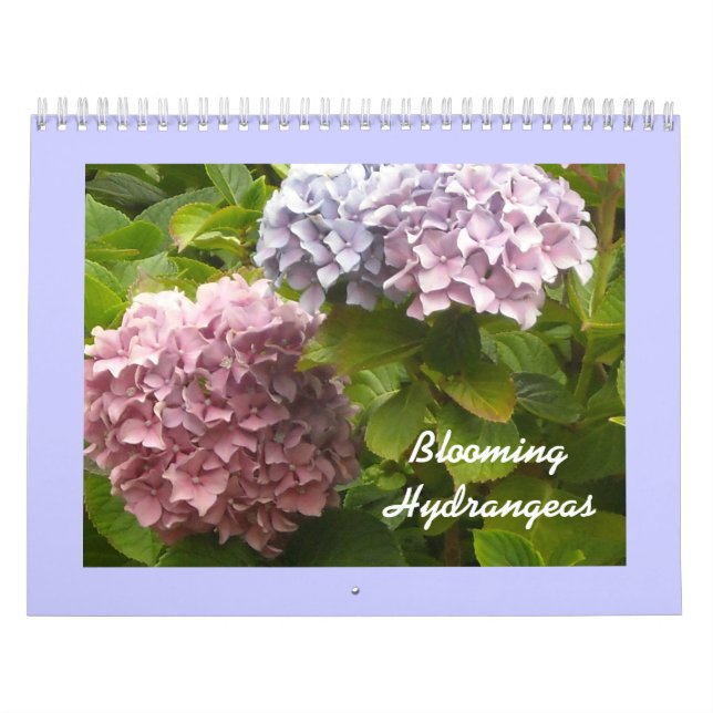 Calendário Hortênsias em Flor (Capa)