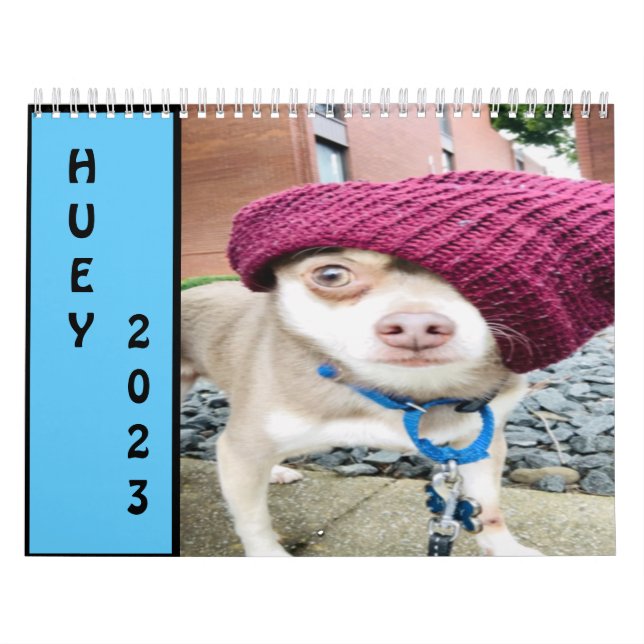 Calendário Huey 2023 Wall (Capa)