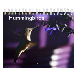 Calendário Hummingbird