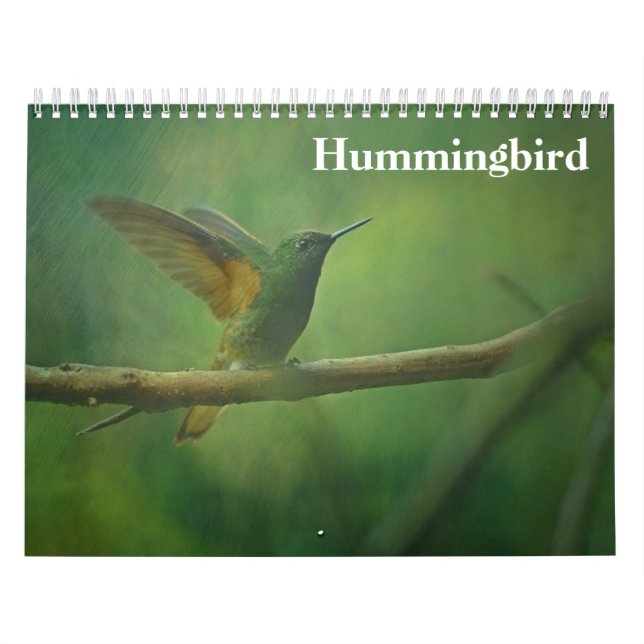 Calendário Hummingbird 2025 (Capa)