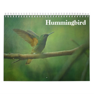Calendário Hummingbird 2025