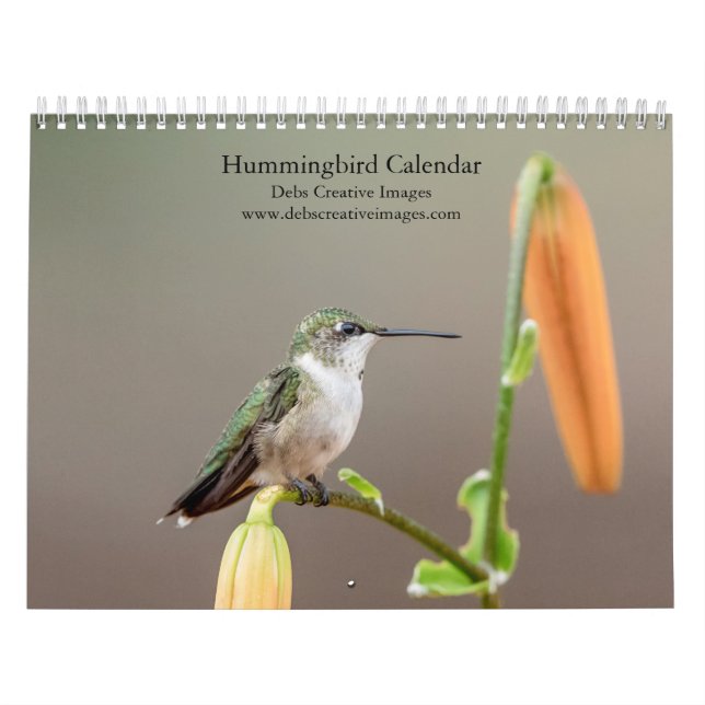 Calendário Hummingbird 2026 (Capa)