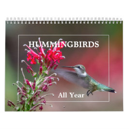 Calendário Hummingbird Todo O Ano