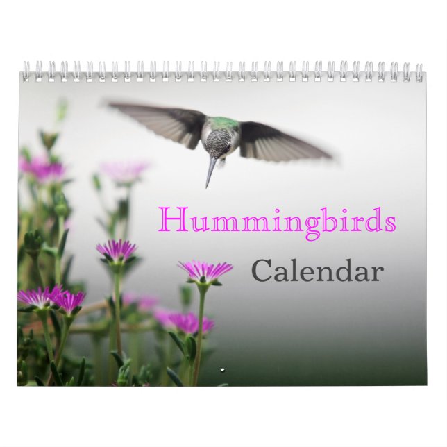 Calendário HUMMINGBIRDS (Capa)