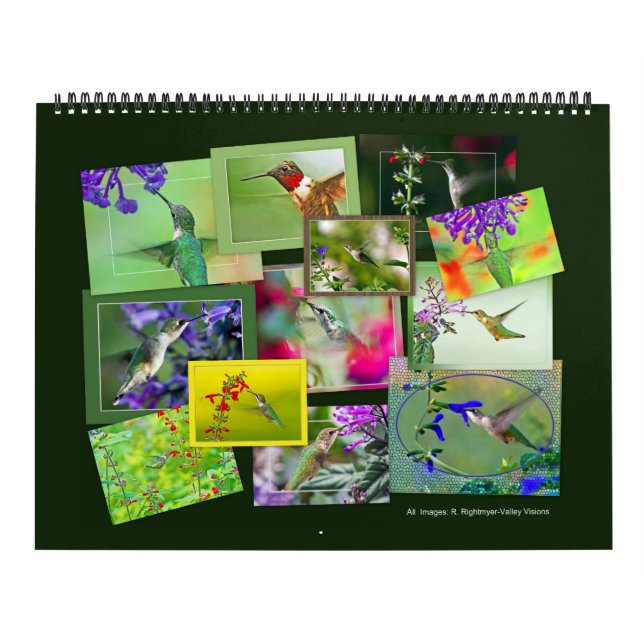Calendário HUMMINGBIRDS (Capa)
