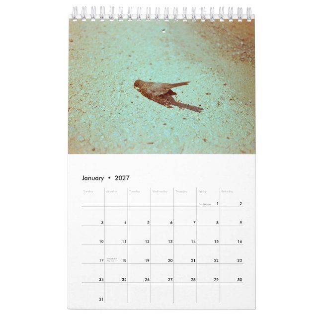 Calendário Humor: 2019 (Jan 2027)