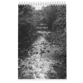 Calendário Humor: 2019