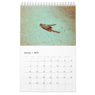 Calendário Humor: 2019