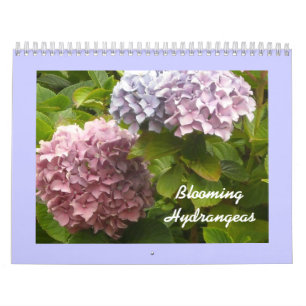 Calendário Hydrangeas de florescência