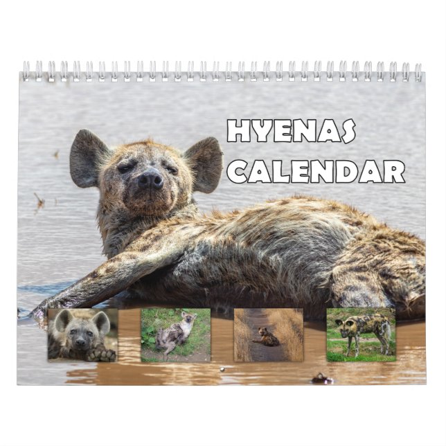 Calendário Hyenas (Capa)