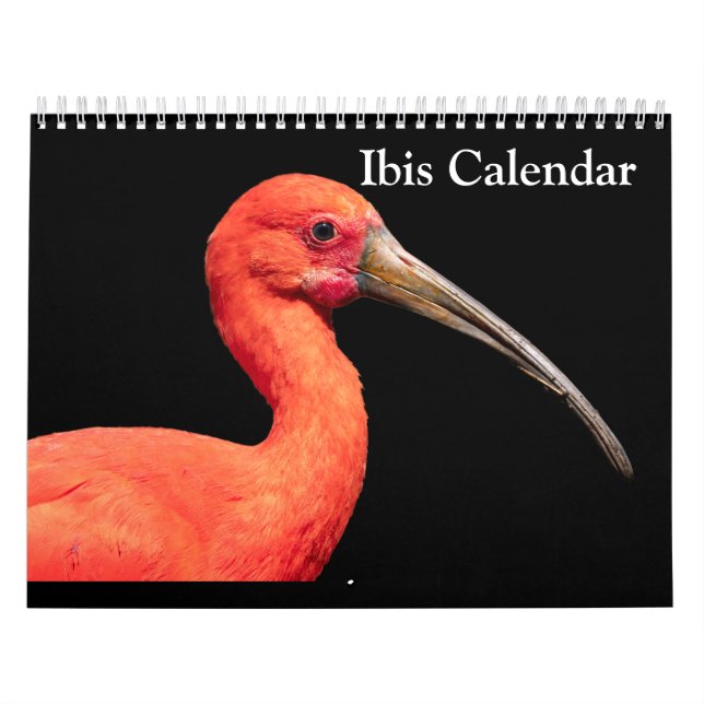 Calendário Íbis 2027 (Capa)