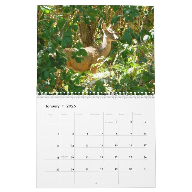 Calendário Idaho (Jan 2026)