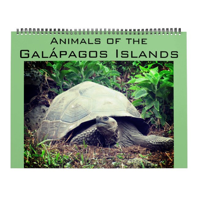 Calendário Ilhas Galápagos animais 2025 (Capa)