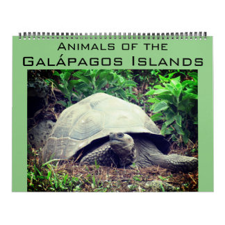 Calendário ilhas galápagos animais 2027 grande