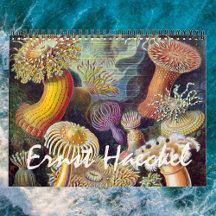 Ilustrações antigas de Ernst Haeckel, Biologia, Bo