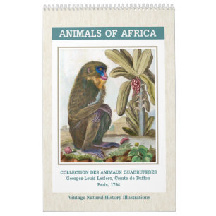 Calendário Ilustrações de Animais da África Vintage 2022