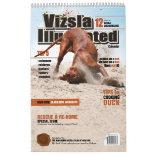 Calendário Ilustrado Vizsla
