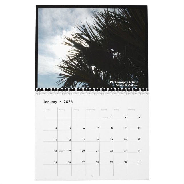 Calendário IM000977, paisagens da ilha de Edisto, South (Jan 2026)