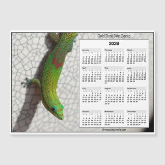 Calendário Ímã 5x7 de 2026 Gecko do Dia Poeira Dou