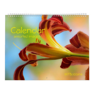 Calendário - imagens Assorted - com grandes