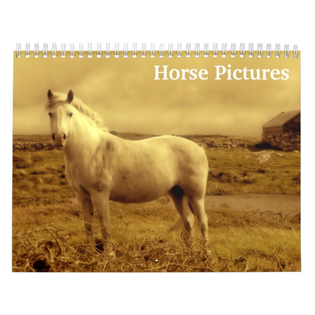 Calendário Imagens Belas sobre Cavalos 2025 (Capa)