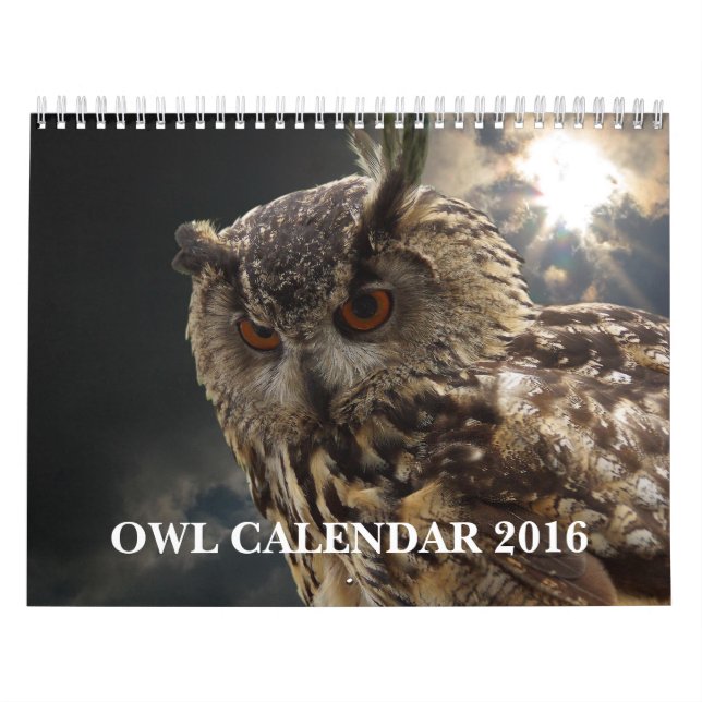 Calendário Imagens da coruja e imagens bonitas 2016 (Capa)