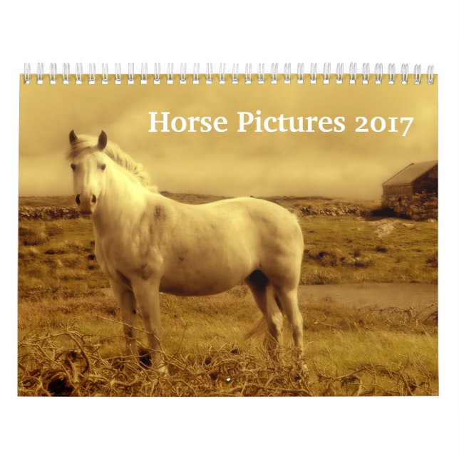 Calendário Imagens de imagens bonitas 2017 do cavalo (Capa)