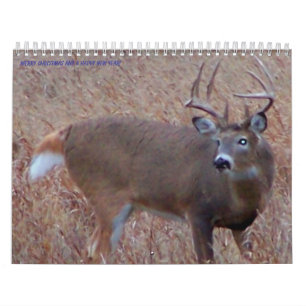 Calendário Imagens do norte dos cervos de North Dakota