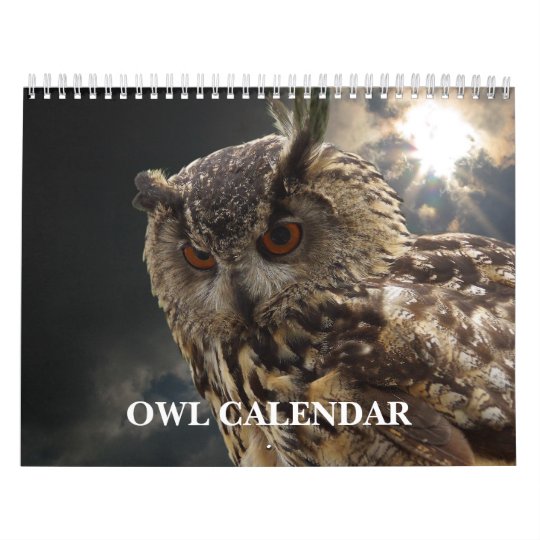 Calendario Imagens E Imagens Bonitas De Coruja 2020 Zazzle Com Br