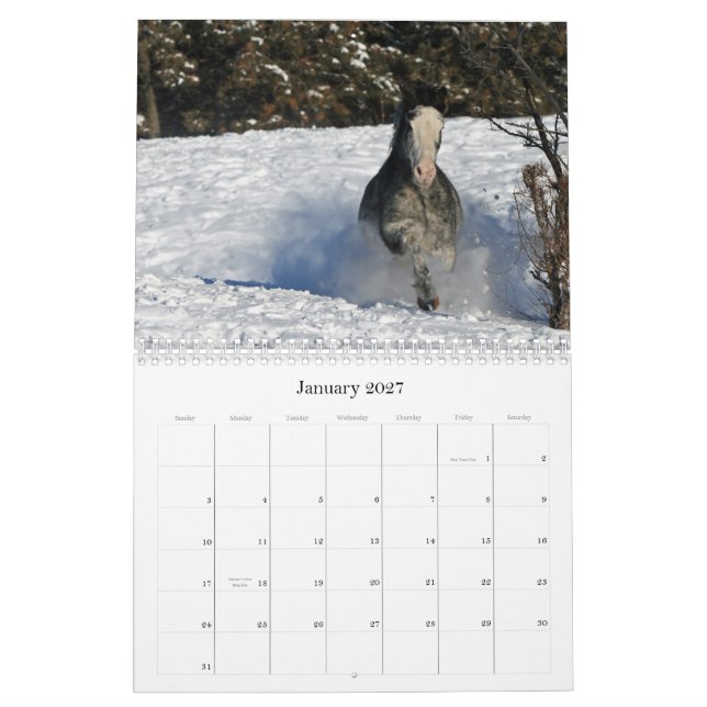 Calendário Imagens eqüinos 2011 (Jan 2027)