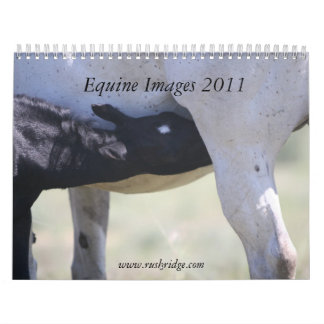 Calendário Imagens eqüinos 2011