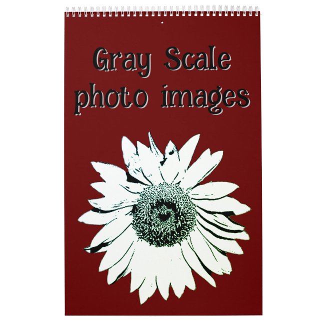 Calendário - Imagens Fotográficas em Escala de Cin (Capa)