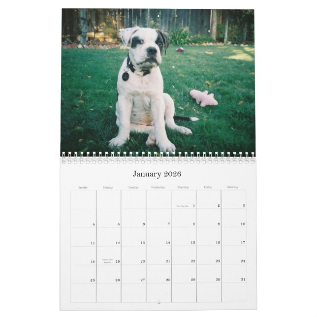 Calendário Impacto urbano de Doo (Jan 2026)